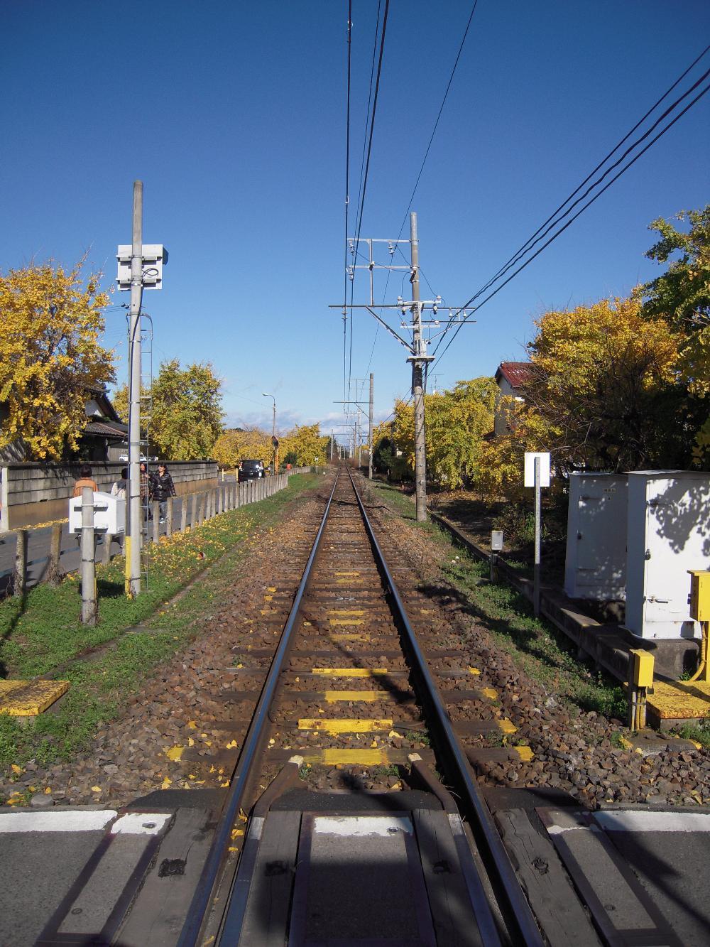 祖父江銀杏 028.jpg